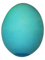 blue egg face creator